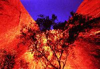 Uluru, Crossroads Of The Dreamtime