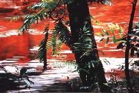 Caruna, Lifeblood Of Mother Earth