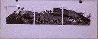 Untitled (Landscape Triptych)