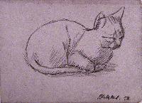 Untitled (Seated Cat)