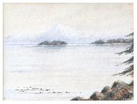 Chatham Island