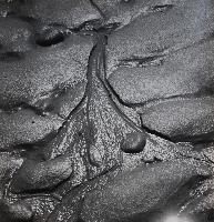 Rill Marks - Prince Edward Island