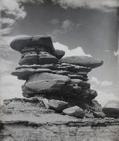 Desert Sentinel - Arizona
