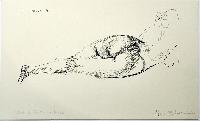 Back of Reclining Nude