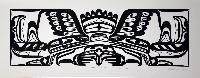 Eagle and Killerwhale