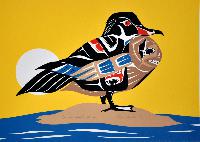 Canadian Wood Duck