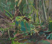 Forest Pond