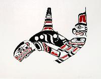 Killer Whale & Hawk