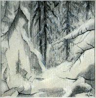Snowy Woods