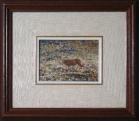 'Mama' (muley Doe)