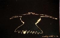 Rock Eagle Mystery of the Stone Mound Culture