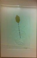 Inscape/ Escape Of The Golden Glass From Black Light...