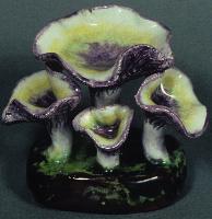Cantharellus Clavatus