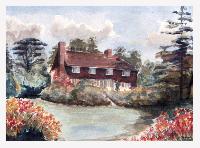 'Cushat Law' Balcombe, Sussex