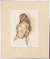 Duckling