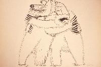 And went gaily about their mating  (Ursus drawing)