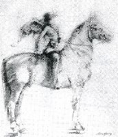 Rider