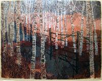 Winter Alder