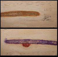 Untitled (Nootka Light woodblock; yellow ochre and light purple)