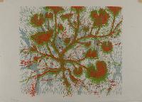 Spring Geranium Test I