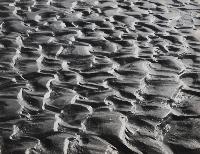 Complex Ripples #2 - Peace River