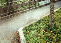 Eager Steps