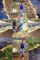 The Gardener Series #3