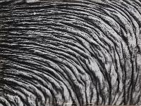 Lava Surface, Evenly Wrinkled Blanket #2 - Galapagos Islands