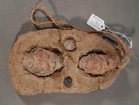 Clay Hanging
