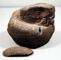 Coiled Serpent