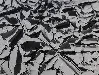 Autumn Leaves Mud Cracks