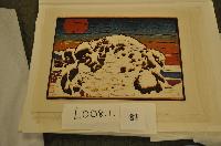 Deep Snow - Cariboo