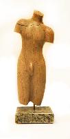 Male Torso