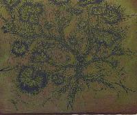Untitled (Geranium Woodblock)