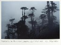 Yotong la Bhutan