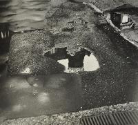 Castle's Reflection