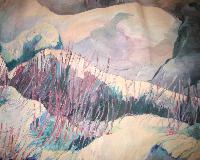 Arbutus Landscape