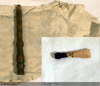 Untitled (Oboe D'amore; Chamois)