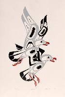 Gulls