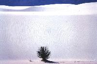 White Sands, Sea Of Alabaster