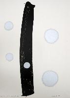 Projectile Series, 1964
