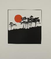 Untitled (Sun behind Trees)