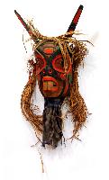 Mouse Mask