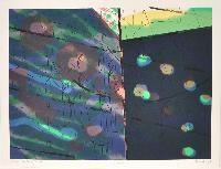 Night Garden of Delights