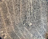 Amsterdam print (Map, section D)
