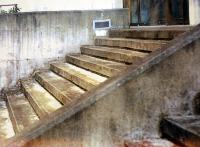 Thoughtful Steps