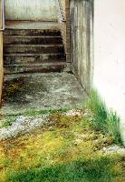 Descending Steps