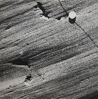 Glacial Scratches - Saint John, New Brunswick