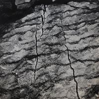 Dark Veins Bleaching Adjacent Limeststone