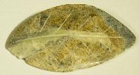 Carved Soapstone Leaf